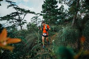 BIB: 
                            <button type="button" onclick="openModal(25259829)" class="btn btn-primary btn-sm float-right btn-popup" data-toggle="modal" data-target=".modal-high-quality">
                        <i class="fas fa-shopping-cart"></i> Add to Cart
                    </button>
                                            <button type="button" onclick="isThisMe(25259829, true)" class="btn btn-success btn-sm float-right btn-popup btn-isme hidden" data-toggle="tooltip" data-placement="bottom" title="นี่คือรูปของคุณใช่ไหม คลิกที่นี่เพื่อเอาเข้าอัลบั้ม">
                        <i class="fas fa-plus"></i> Add to album
                    </button>
                    <button type="button" onclick="isThisMe(25259829, false)" class="btn btn-warning btn-sm float-right btn-popup btn-isnotme hidden">
                        <i class="fas fa-ban"></i> Remove from album
                    </button>